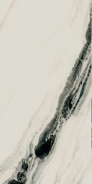 PAN WH6 12 LP
